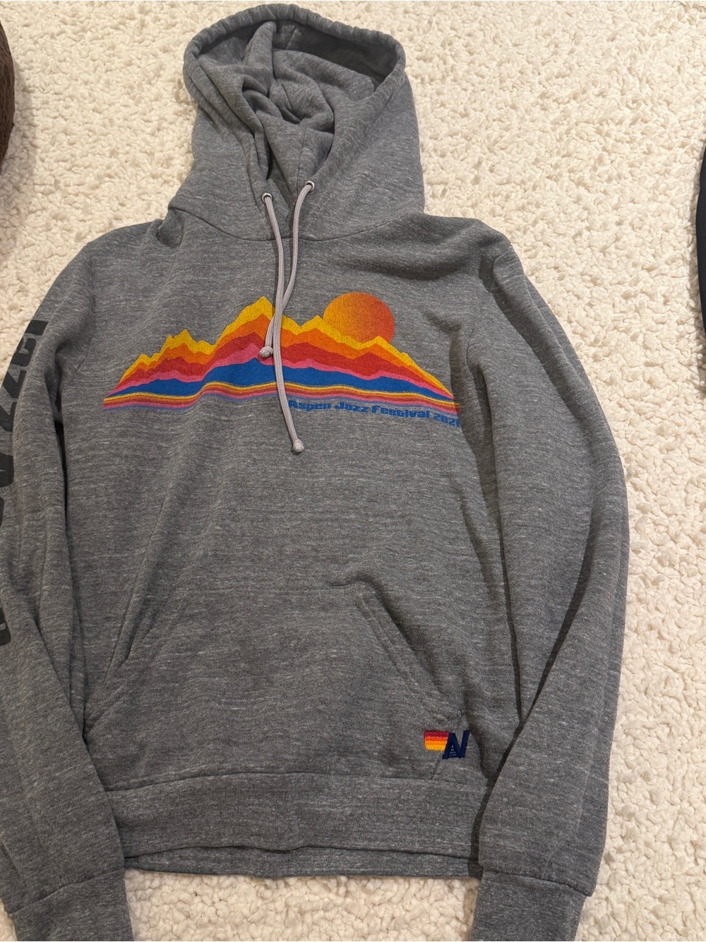 LIMITED EDITION UNISEX Aviator Nation Aspen Jazz Fest Grey Hoodie
